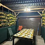 Irina Apartman *