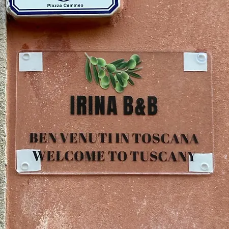 Apartment Irina Lorenzana