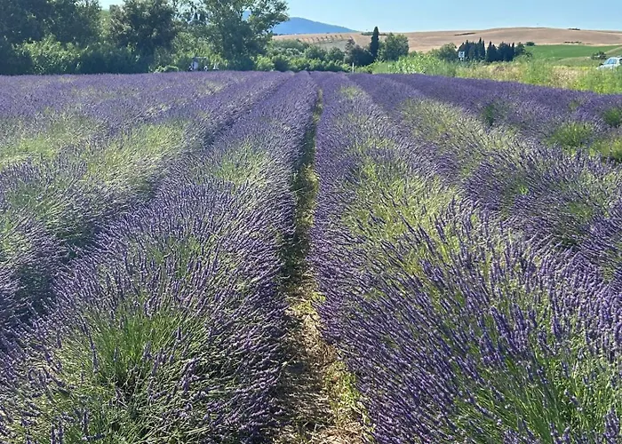 Irina Apartmán Lorenzana
