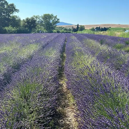 Irina 公寓 Lorenzana